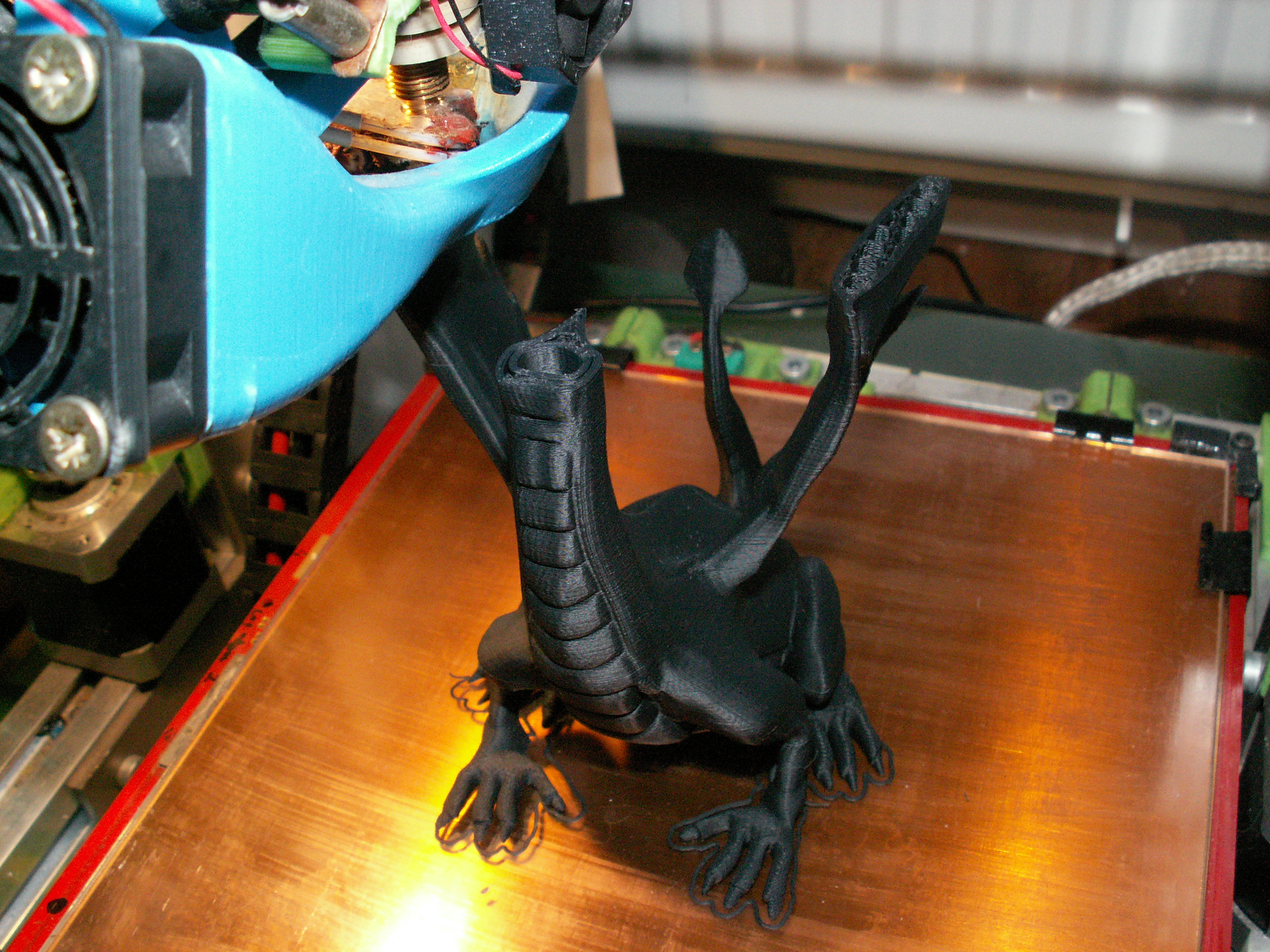 PICT6456.JPG