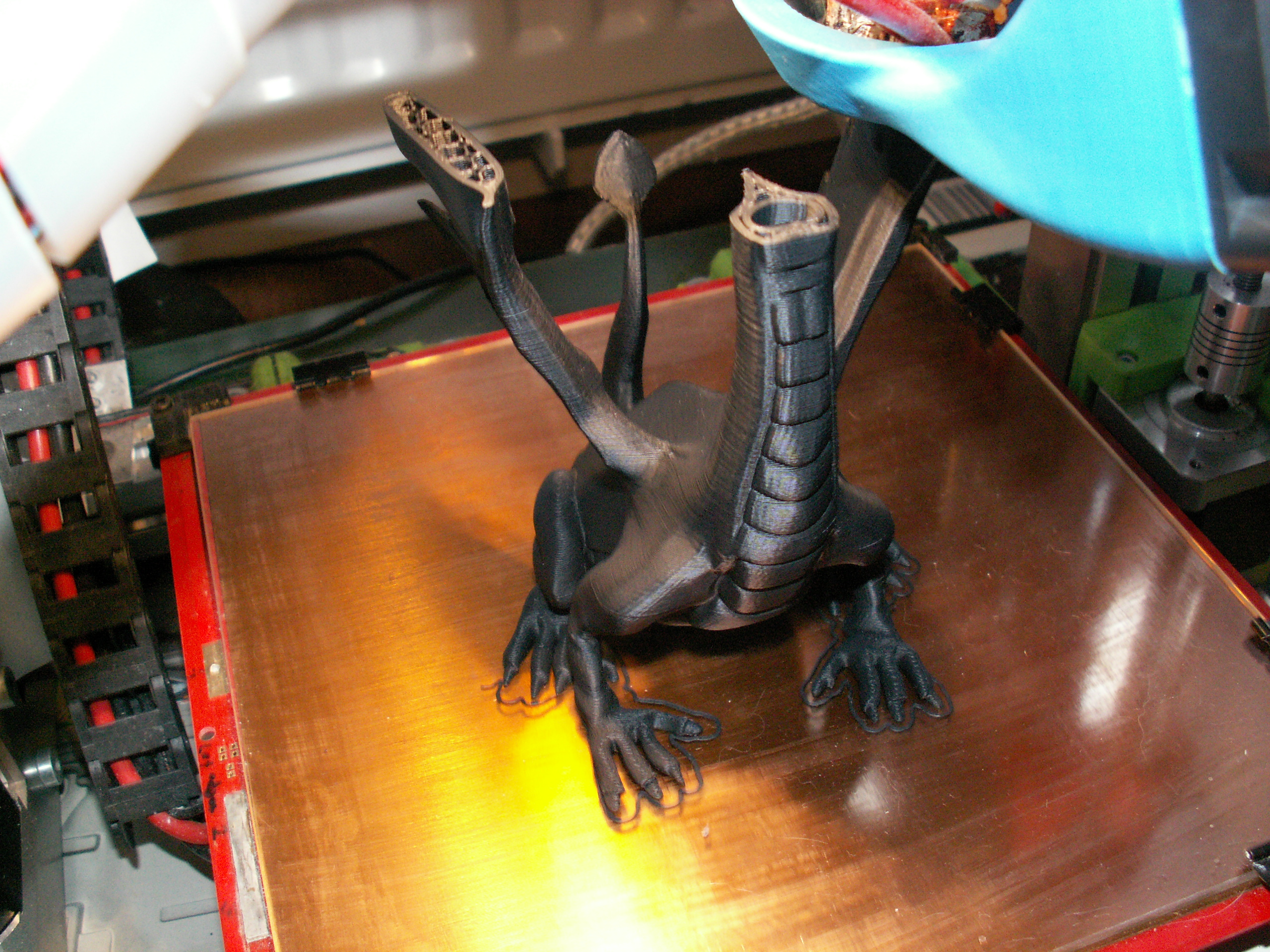 PICT6457.JPG