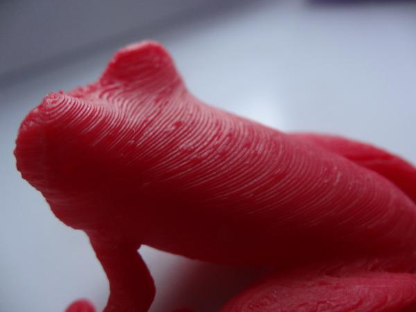frog_top.jpg