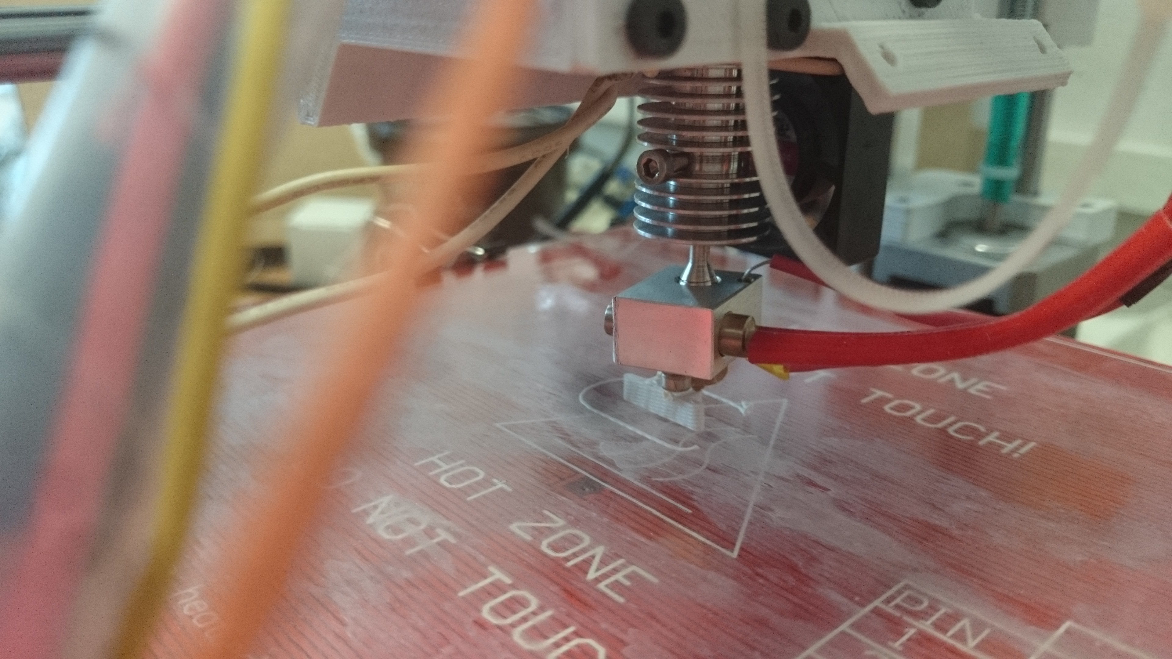 DSC_0298.JPG